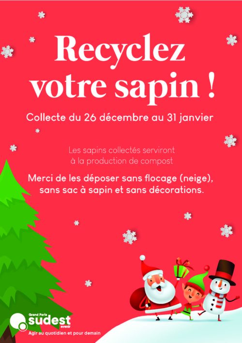 recyclez votre sapin